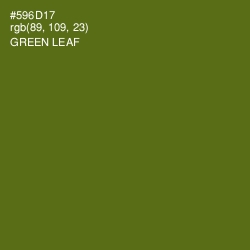 #596D17 - Green Leaf Color Image